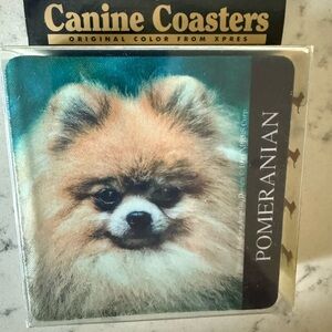 Pomeranian Canine Coasters